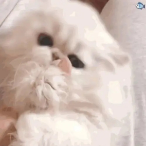 Chinese国产打屁股女朋友
