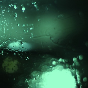 Chinese国产打屁股女朋友
